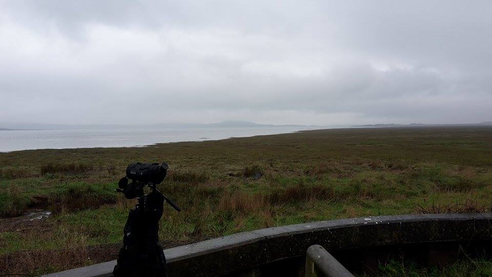 12571088_10201509290530579_1970886349_n