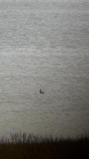 12576144_10201509290690583_434566075_n