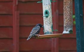 13625132_10202147888495129_1459056836_n